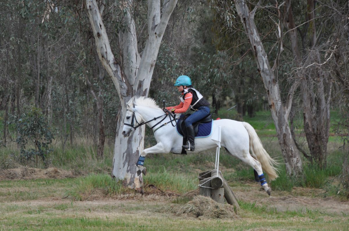 Albury Wodonga Equestrian Centre
