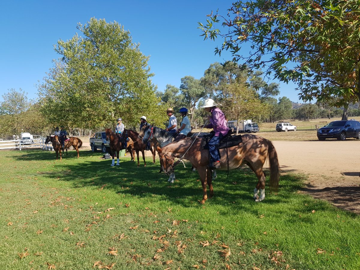 Albury Wodonga Equestrian Centre