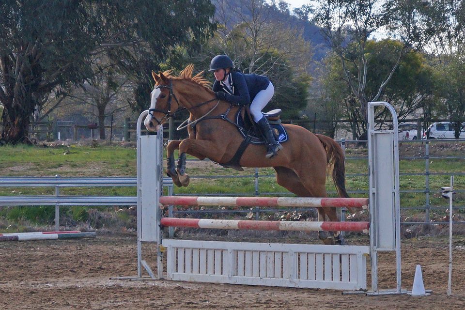 Albury Wodonga Equestrian Centre