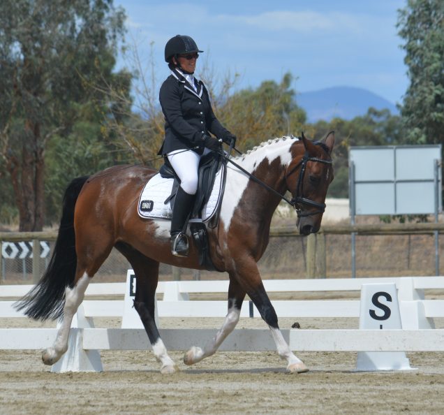 Albury Wodonga Equestrian Centre